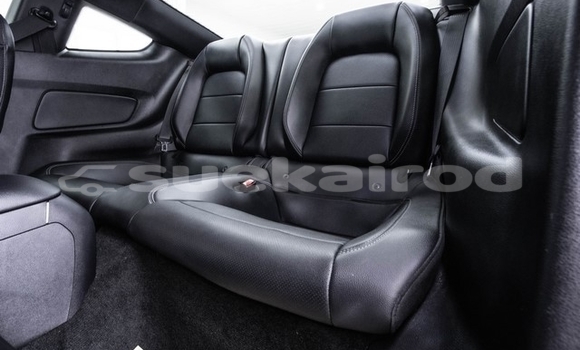 ซื้อ รถมือสอง FORD MUSTANG สีแดง รถยนต์ ใน %{เมือง} ใน กรุงเทพมหานคร ซื้อ รถมือสอง FORD MUSTANG สีแดง รถยนต์ ใน %{เมือง} ใน กรุงเทพมหานคร