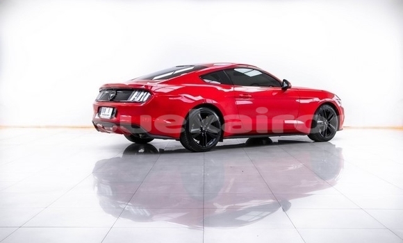 ซื้อ รถมือสอง FORD MUSTANG สีแดง รถยนต์ ใน %{เมือง} ใน กรุงเทพมหานคร ซื้อ รถมือสอง FORD MUSTANG สีแดง รถยนต์ ใน %{เมือง} ใน กรุงเทพมหานคร