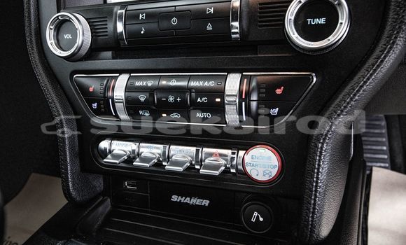 ซื้อ รถมือสอง Ford Mustang สีแดง รถยนต์ ใน %{เมือง} ใน กรุงเทพมหานคร ซื้อ รถมือสอง Ford Mustang สีแดง รถยนต์ ใน %{เมือง} ใน กรุงเทพมหานคร