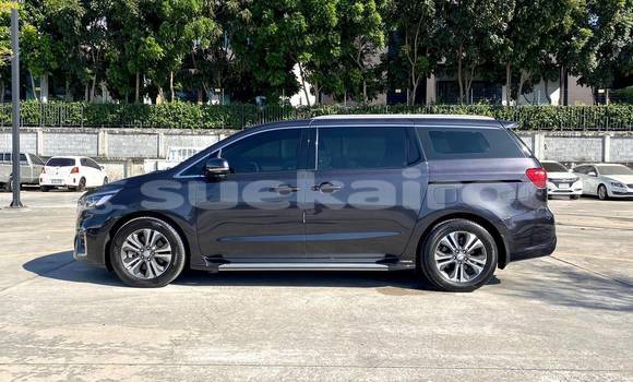 ซื้อ รถมือสอง Kia Carnival สีดำ รถยนต์ ใน %{เมือง} ใน กรุงเทพมหานคร ซื้อ รถมือสอง Kia Carnival สีดำ รถยนต์ ใน %{เมือง} ใน กรุงเทพมหานคร