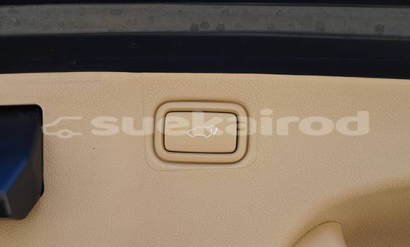 ซื้อ รถมือสอง Kia Carnival สีดำ รถยนต์ ใน %{เมือง} ใน กรุงเทพมหานคร ซื้อ รถมือสอง Kia Carnival สีดำ รถยนต์ ใน %{เมือง} ใน กรุงเทพมหานคร