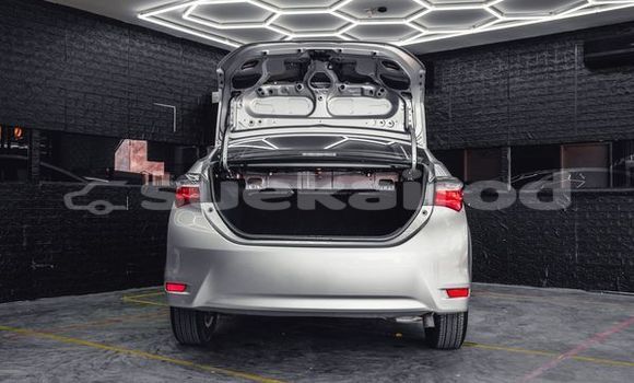 Buy Used Toyota Altis Silver Car in Bangkok in Bangkok Buy Used Toyota Altis Silver Car in Bangkok in Bangkok