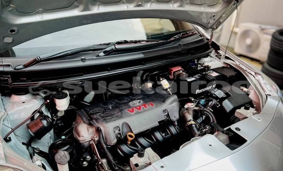 Buy Used Toyota Vios Silver Car in Bangkok in Bangkok Buy Used Toyota Vios Silver Car in Bangkok in Bangkok