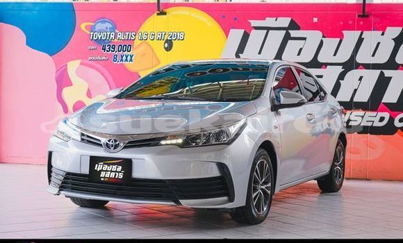 Buy Used Toyota Altis Silver Car in Bangkok in Bangkok