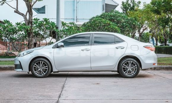 Buy Used Toyota Altis Silver Car in Bangkok in Bangkok Buy Used Toyota Altis Silver Car in Bangkok in Bangkok