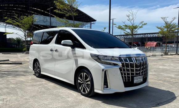ซื้อ รถมือสอง Toyota Alphard ขาว รถยนต์ ใน %{เมือง} ใน กรุงเทพมหานคร ซื้อ รถมือสอง Toyota Alphard ขาว รถยนต์ ใน %{เมือง} ใน กรุงเทพมหานคร
