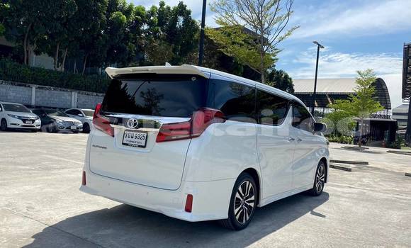 ซื้อ รถมือสอง Toyota Alphard ขาว รถยนต์ ใน %{เมือง} ใน กรุงเทพมหานคร ซื้อ รถมือสอง Toyota Alphard ขาว รถยนต์ ใน %{เมือง} ใน กรุงเทพมหานคร