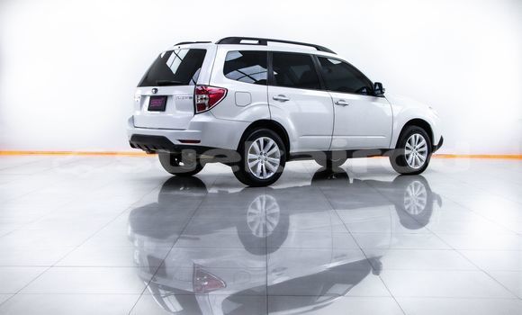 ซื้อ รถมือสอง Subaru Forester ขาว รถยนต์ ใน %{เมือง} ใน กรุงเทพมหานคร ซื้อ รถมือสอง Subaru Forester ขาว รถยนต์ ใน %{เมือง} ใน กรุงเทพมหานคร