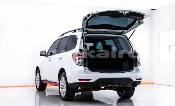 ซื้อ รถมือสอง Subaru Forester ขาว รถยนต์ ใน %{เมือง} ใน กรุงเทพมหานคร ซื้อ รถมือสอง Subaru Forester ขาว รถยนต์ ใน %{เมือง} ใน กรุงเทพมหานคร
