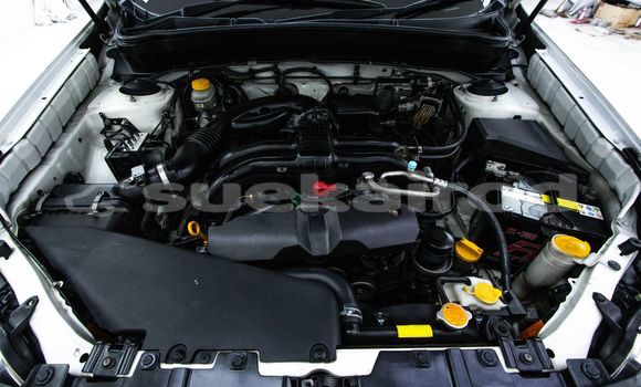 ซื้อ รถมือสอง Subaru Forester ขาว รถยนต์ ใน %{เมือง} ใน กรุงเทพมหานคร ซื้อ รถมือสอง Subaru Forester ขาว รถยนต์ ใน %{เมือง} ใน กรุงเทพมหานคร