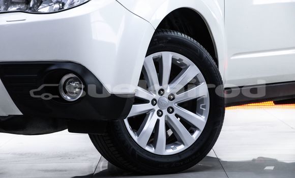 ซื้อ รถมือสอง Subaru Forester ขาว รถยนต์ ใน %{เมือง} ใน กรุงเทพมหานคร ซื้อ รถมือสอง Subaru Forester ขาว รถยนต์ ใน %{เมือง} ใน กรุงเทพมหานคร