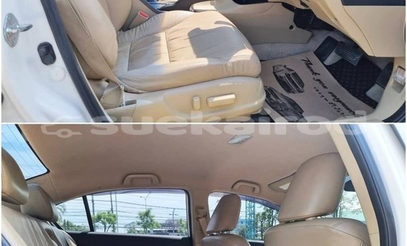 ซื้อ รถมือสอง Honda Civic ขาว รถยนต์ ใน %{เมือง} ใน กรุงเทพมหานคร ซื้อ รถมือสอง Honda Civic ขาว รถยนต์ ใน %{เมือง} ใน กรุงเทพมหานคร