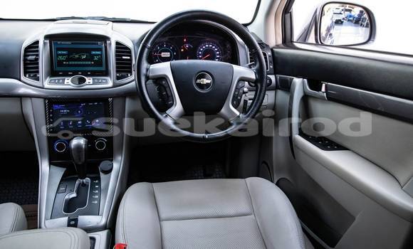 ซื้อ รถมือสอง Chevrolet Captiva อื่น ๆ รถยนต์ ใน %{เมือง} ใน กรุงเทพมหานคร ซื้อ รถมือสอง Chevrolet Captiva อื่น ๆ รถยนต์ ใน %{เมือง} ใน กรุงเทพมหานคร