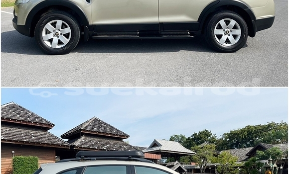 ซื้อ รถมือสอง Chevrolet Captiva สีน้ำตาล รถยนต์ ใน %{เมือง} ใน กรุงเทพมหานคร ซื้อ รถมือสอง Chevrolet Captiva สีน้ำตาล รถยนต์ ใน %{เมือง} ใน กรุงเทพมหานคร