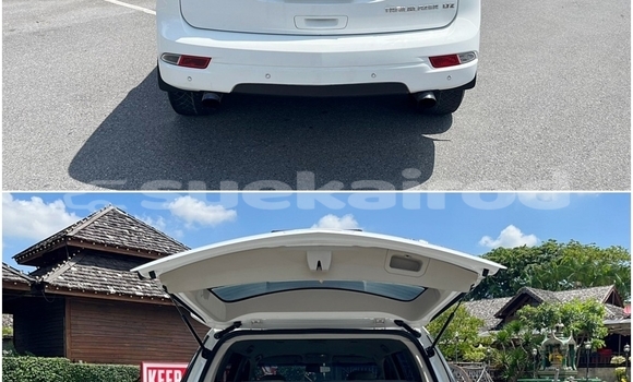 ซื้อ รถมือสอง Chevrolet TrailBlazer ขาว รถยนต์ ใน %{เมือง} ใน กรุงเทพมหานคร ซื้อ รถมือสอง Chevrolet TrailBlazer ขาว รถยนต์ ใน %{เมือง} ใน กรุงเทพมหานคร