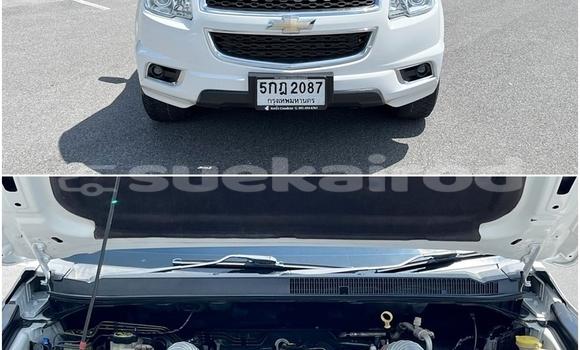 ซื้อ รถมือสอง Chevrolet TrailBlazer ขาว รถยนต์ ใน %{เมือง} ใน กรุงเทพมหานคร ซื้อ รถมือสอง Chevrolet TrailBlazer ขาว รถยนต์ ใน %{เมือง} ใน กรุงเทพมหานคร