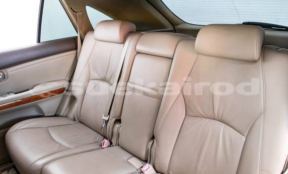 Buy Used Lexus RX 300 White Car in Bangkok in Bangkok Buy Used Lexus RX 300 White Car in Bangkok in Bangkok