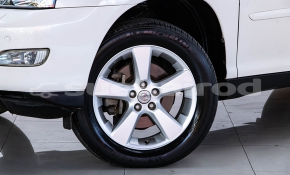 ซื้อ รถมือสอง Lexus RX 300 ขาว รถยนต์ ใน %{เมือง} ใน กรุงเทพมหานคร ซื้อ รถมือสอง Lexus RX 300 ขาว รถยนต์ ใน %{เมือง} ใน กรุงเทพมหานคร