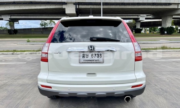 Buy Used Honda CR-V White Car in Bangkok in Bangkok Buy Used Honda CR-V White Car in Bangkok in Bangkok
