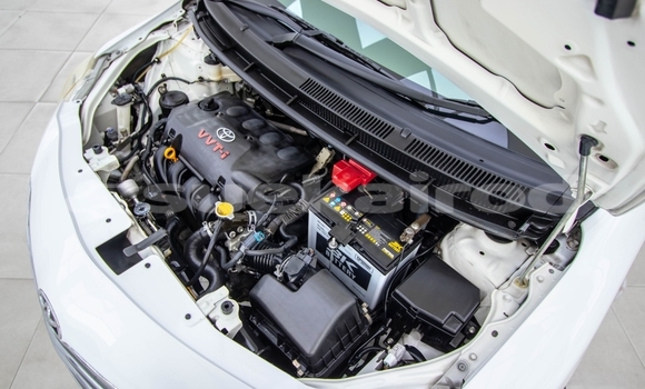 Buy Used Toyota Vios White Car in Bangkok in Bangkok Buy Used Toyota Vios White Car in Bangkok in Bangkok