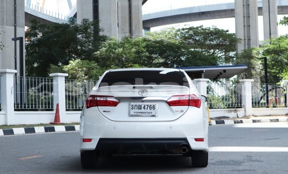 Buy Used Toyota Altis White Car in Bangkok in Bangkok Buy Used Toyota Altis White Car in Bangkok in Bangkok