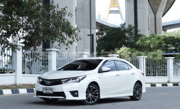 Buy Used Toyota Altis White Car in Bangkok in Bangkok Buy Used Toyota Altis White Car in Bangkok in Bangkok