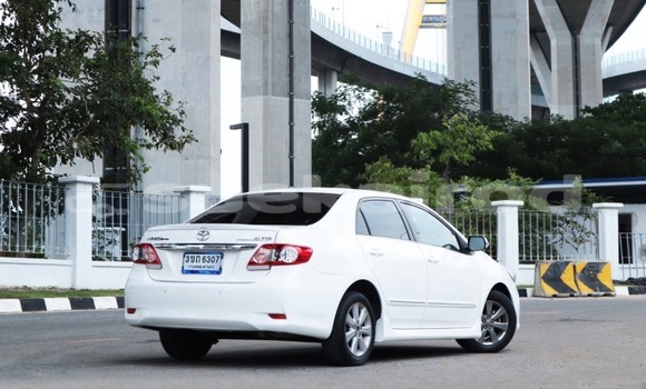 Buy Used Toyota Altis White Car in Bangkok in Bangkok Buy Used Toyota Altis White Car in Bangkok in Bangkok