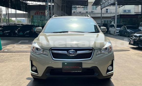ซื้อ รถมือสอง Subaru XV อื่น ๆ รถยนต์ ใน %{เมือง} ใน กรุงเทพมหานคร ซื้อ รถมือสอง Subaru XV อื่น ๆ รถยนต์ ใน %{เมือง} ใน กรุงเทพมหานคร
