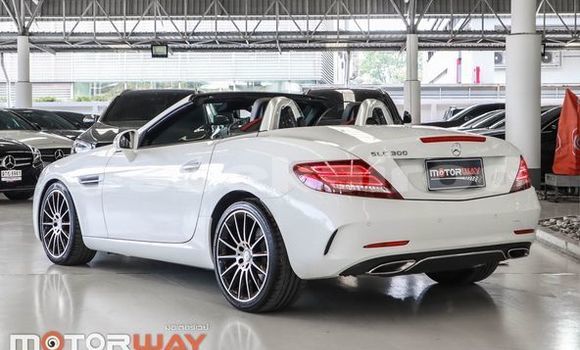 Buy Used Mercedes-Benz SLC-klasse White Car in Bangkok in Bangkok Buy Used Mercedes-Benz SLC-klasse White Car in Bangkok in Bangkok