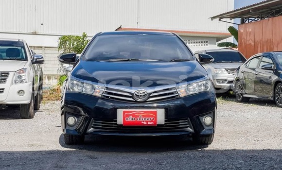 ซื้อ รถมือสอง Toyota Altis สีดำ รถยนต์ ใน %{เมือง} ใน กรุงเทพมหานคร ซื้อ รถมือสอง Toyota Altis สีดำ รถยนต์ ใน %{เมือง} ใน กรุงเทพมหานคร