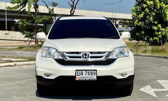ซื้อ รถมือสอง Honda CR-V ขาว รถยนต์ ใน %{เมือง} ใน กรุงเทพมหานคร ซื้อ รถมือสอง Honda CR-V ขาว รถยนต์ ใน %{เมือง} ใน กรุงเทพมหานคร