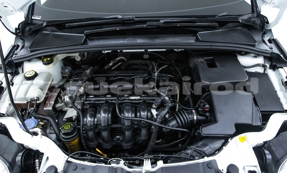 ซื้อ รถมือสอง Ford Focus ขาว รถยนต์ ใน %{เมือง} ใน กรุงเทพมหานคร ซื้อ รถมือสอง Ford Focus ขาว รถยนต์ ใน %{เมือง} ใน กรุงเทพมหานคร