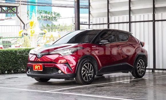 Buy Used Toyota C-HR Red Car in Bangkok in Bangkok