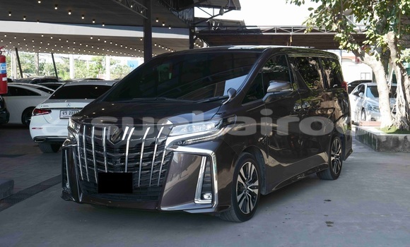 Buy Used Toyota Alphard Brown Car in Bangkok in Bangkok