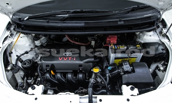 ซื้อ รถมือสอง Toyota Vios ขาว รถยนต์ ใน %{เมือง} ใน กรุงเทพมหานคร ซื้อ รถมือสอง Toyota Vios ขาว รถยนต์ ใน %{เมือง} ใน กรุงเทพมหานคร