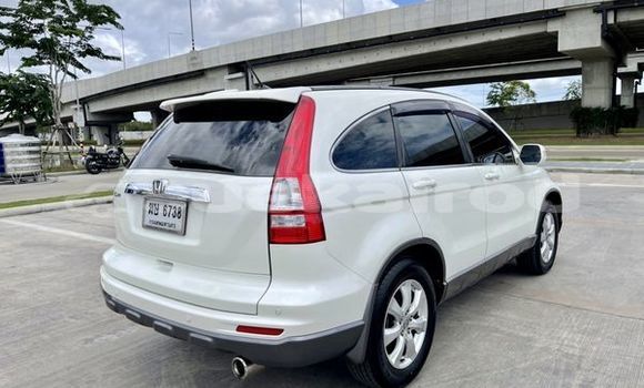 ซื้อ รถมือสอง Honda CR-V ขาว รถยนต์ ใน %{เมือง} ใน กรุงเทพมหานคร ซื้อ รถมือสอง Honda CR-V ขาว รถยนต์ ใน %{เมือง} ใน กรุงเทพมหานคร
