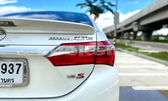 Buy Used Toyota Altis White Car in Bangkok in Bangkok Buy Used Toyota Altis White Car in Bangkok in Bangkok