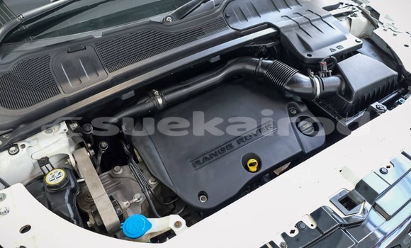 ซื้อ รถมือสอง Land Rover Range Rover Evoque ขาว รถยนต์ ใน %{เมือง} ใน กรุงเทพมหานคร ซื้อ รถมือสอง Land Rover Range Rover Evoque ขาว รถยนต์ ใน %{เมือง} ใน กรุงเทพมหานคร