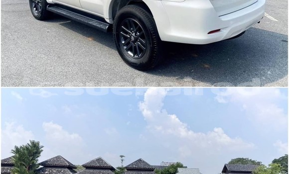 ซื้อ รถมือสอง Toyota Fortuner ขาว รถยนต์ ใน %{เมือง} ใน กรุงเทพมหานคร ซื้อ รถมือสอง Toyota Fortuner ขาว รถยนต์ ใน %{เมือง} ใน กรุงเทพมหานคร