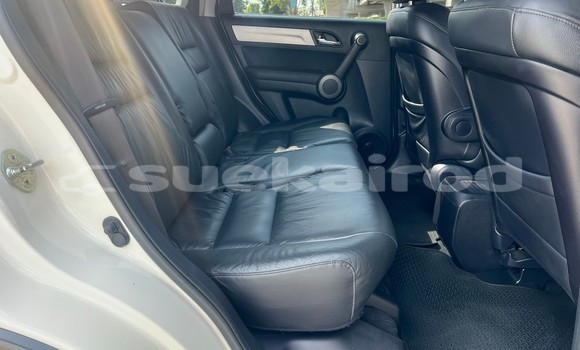 ซื้อ รถมือสอง Honda CR-V ขาว รถยนต์ ใน %{เมือง} ใน กรุงเทพมหานคร ซื้อ รถมือสอง Honda CR-V ขาว รถยนต์ ใน %{เมือง} ใน กรุงเทพมหานคร