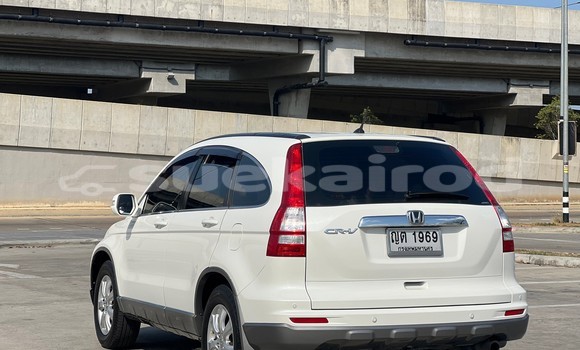 ซื้อ รถมือสอง Honda CR-V ขาว รถยนต์ ใน %{เมือง} ใน กรุงเทพมหานคร ซื้อ รถมือสอง Honda CR-V ขาว รถยนต์ ใน %{เมือง} ใน กรุงเทพมหานคร
