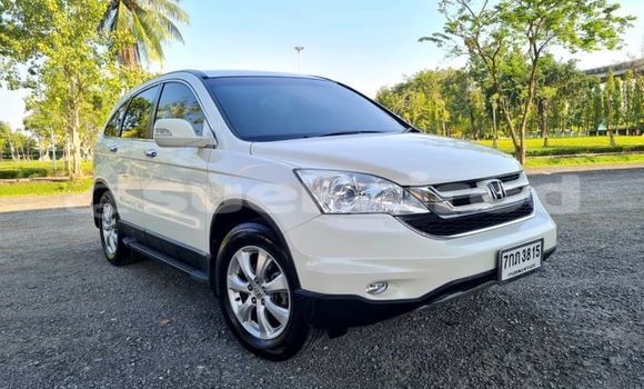 ซื้อ รถมือสอง Honda CR-V ขาว รถยนต์ ใน %{เมือง} ใน กรุงเทพมหานคร ซื้อ รถมือสอง Honda CR-V ขาว รถยนต์ ใน %{เมือง} ใน กรุงเทพมหานคร