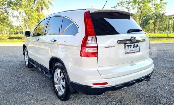 ซื้อ รถมือสอง Honda CR-V ขาว รถยนต์ ใน %{เมือง} ใน กรุงเทพมหานคร ซื้อ รถมือสอง Honda CR-V ขาว รถยนต์ ใน %{เมือง} ใน กรุงเทพมหานคร