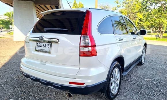 ซื้อ รถมือสอง Honda CR-V ขาว รถยนต์ ใน %{เมือง} ใน กรุงเทพมหานคร ซื้อ รถมือสอง Honda CR-V ขาว รถยนต์ ใน %{เมือง} ใน กรุงเทพมหานคร