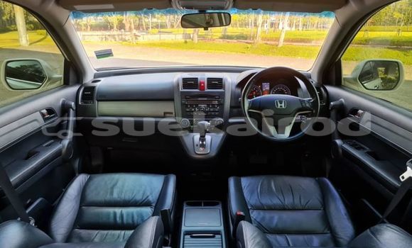 ซื้อ รถมือสอง Honda CR-V ขาว รถยนต์ ใน %{เมือง} ใน กรุงเทพมหานคร ซื้อ รถมือสอง Honda CR-V ขาว รถยนต์ ใน %{เมือง} ใน กรุงเทพมหานคร