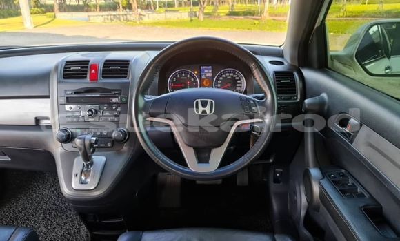 ซื้อ รถมือสอง Honda CR-V ขาว รถยนต์ ใน %{เมือง} ใน กรุงเทพมหานคร ซื้อ รถมือสอง Honda CR-V ขาว รถยนต์ ใน %{เมือง} ใน กรุงเทพมหานคร