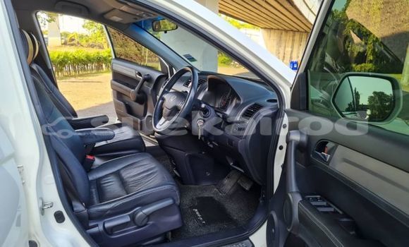ซื้อ รถมือสอง Honda CR-V ขาว รถยนต์ ใน %{เมือง} ใน กรุงเทพมหานคร ซื้อ รถมือสอง Honda CR-V ขาว รถยนต์ ใน %{เมือง} ใน กรุงเทพมหานคร