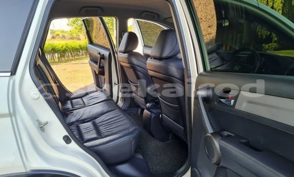 ซื้อ รถมือสอง Honda CR-V ขาว รถยนต์ ใน %{เมือง} ใน กรุงเทพมหานคร ซื้อ รถมือสอง Honda CR-V ขาว รถยนต์ ใน %{เมือง} ใน กรุงเทพมหานคร