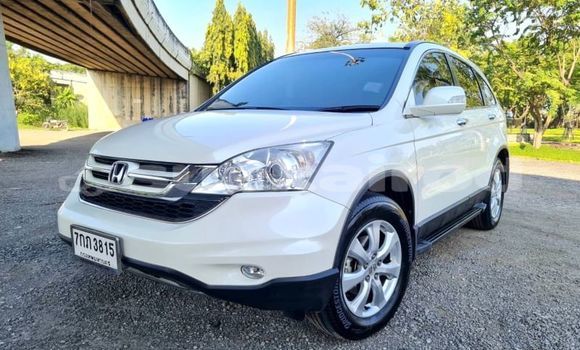 ซื้อ รถมือสอง Honda CR-V ขาว รถยนต์ ใน %{เมือง} ใน กรุงเทพมหานคร ซื้อ รถมือสอง Honda CR-V ขาว รถยนต์ ใน %{เมือง} ใน กรุงเทพมหานคร