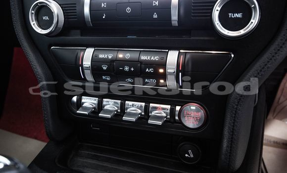 ซื้อ รถมือสอง Ford Mustang อื่น ๆ รถยนต์ ใน %{เมือง} ใน กรุงเทพมหานคร ซื้อ รถมือสอง Ford Mustang อื่น ๆ รถยนต์ ใน %{เมือง} ใน กรุงเทพมหานคร